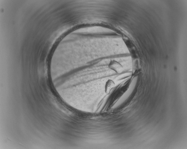 X0000077350584200611171900