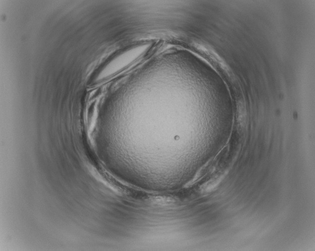 X0000077350585200611171900