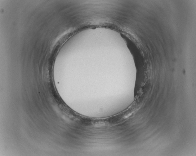 X0000077350587200611171900