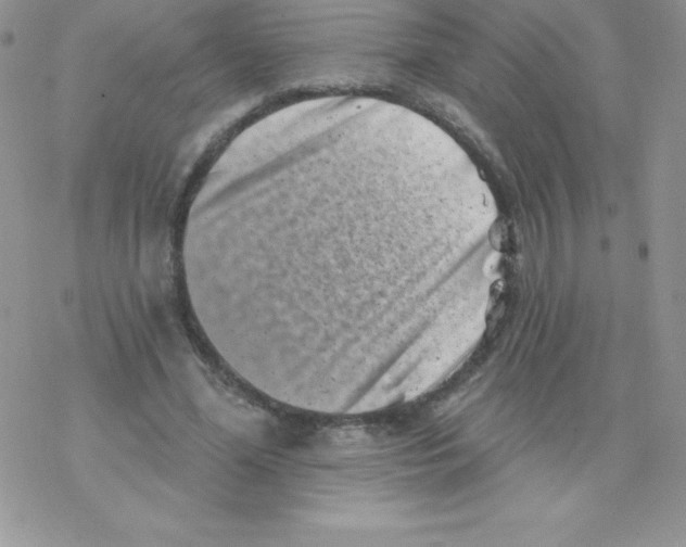 X0000077350588200611171900