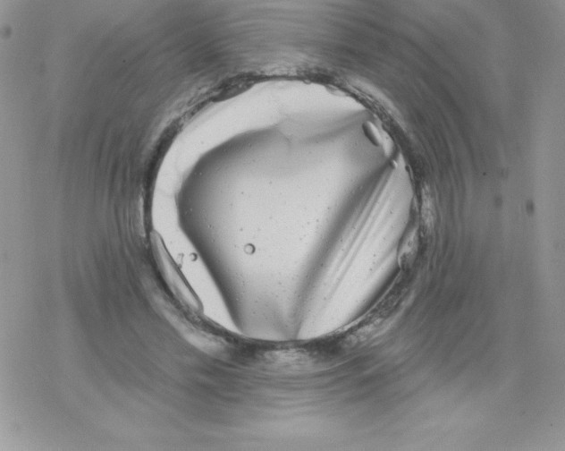 X0000077350589200611171900