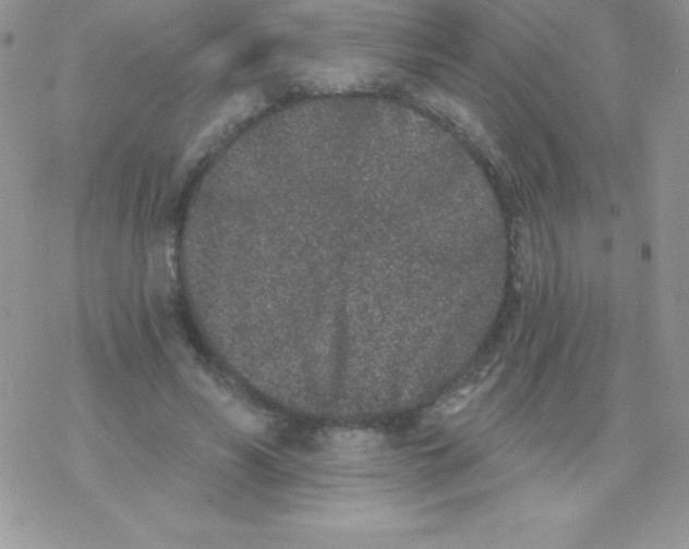 X0000077350590200611171900