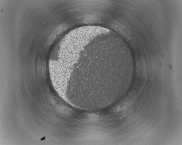 X0000077350592200611171900