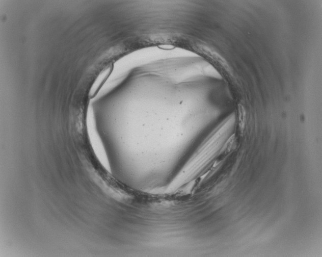 X0000077350593200611171900