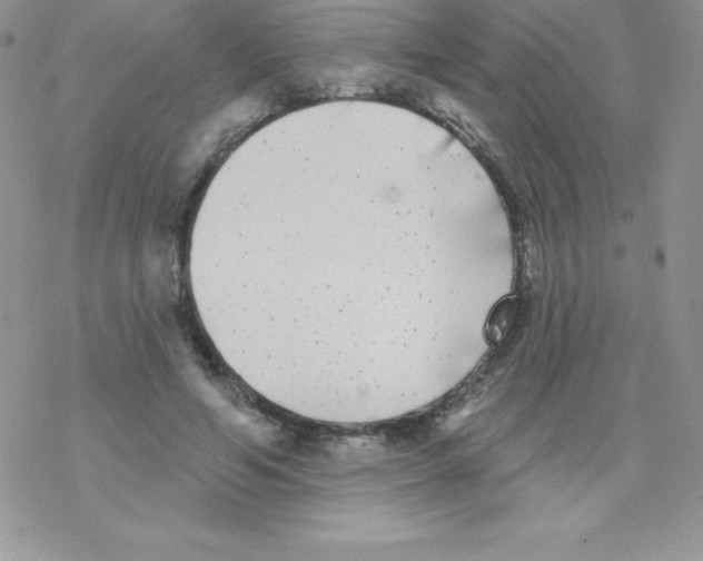 X0000077350594200611171900