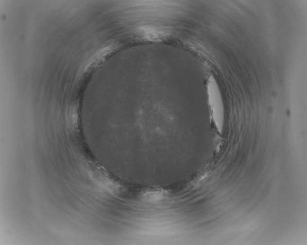 X0000077350595200611171900