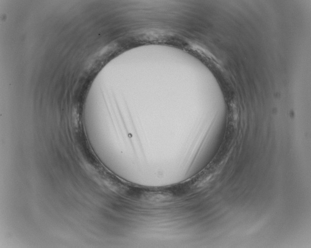 X0000077350597200611171900