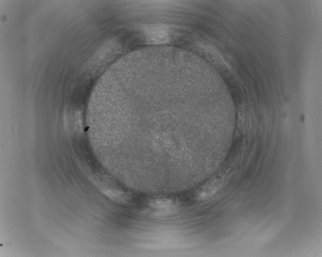 X0000077350598200611171900