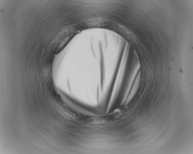 X0000077350601200611171900