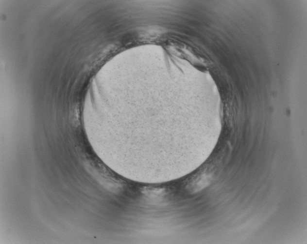 X0000077350602200611171900