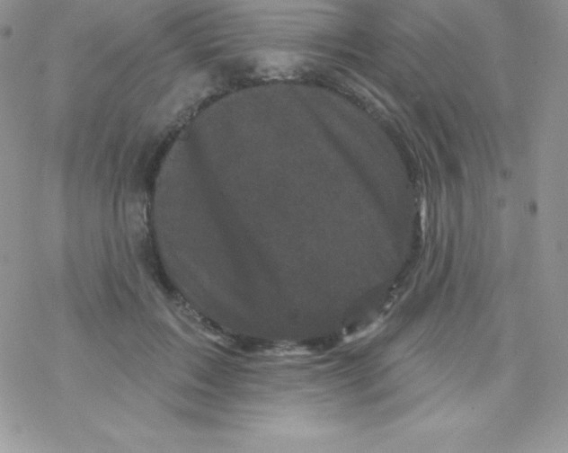 X0000077350603200611171900