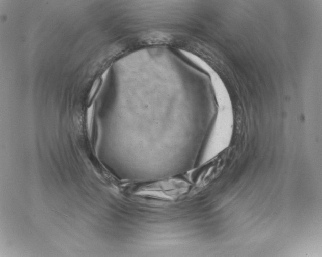 X0000077350604200611171900