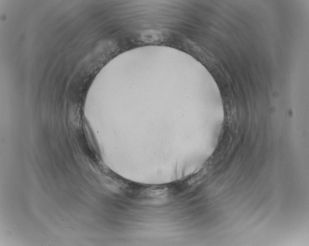 X0000077350606200611171900