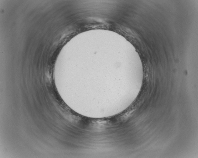 X0000077350607200611171900