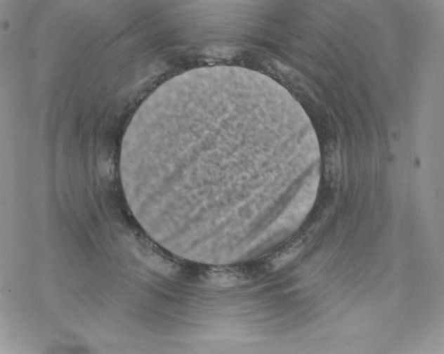 X0000077350608200611171900