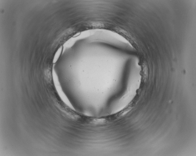 X0000077350609200611171900