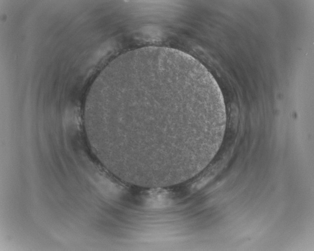 X0000077350612200611171900