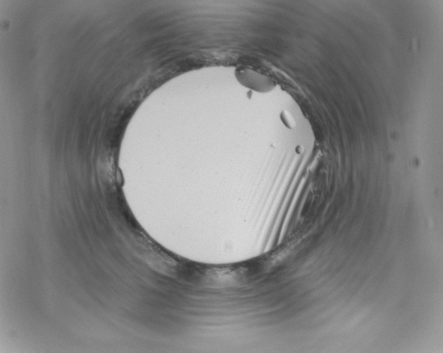 X0000077350613200611171900