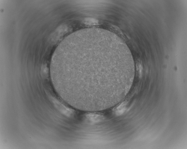 X0000077350614200611171900