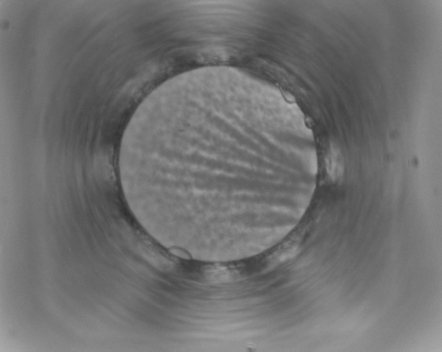 X0000077350616200611171900