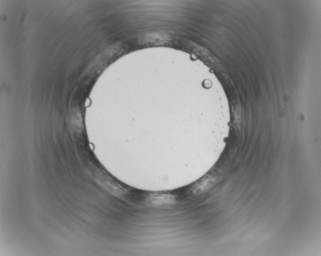 X0000077350617200611171900