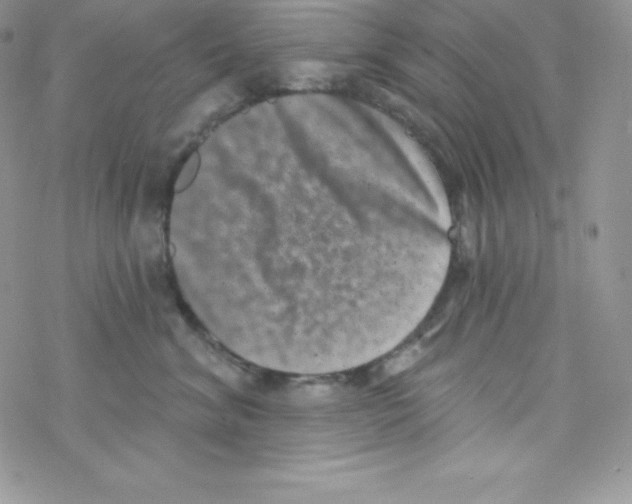 X0000077350620200611171900