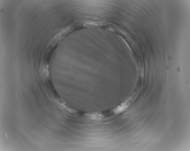 X0000077350621200611171900