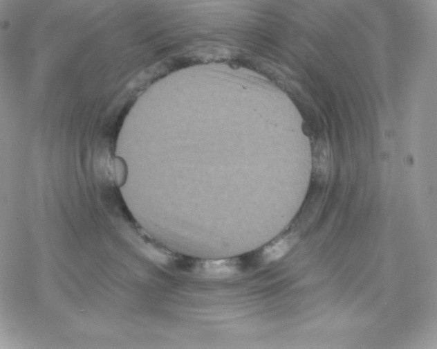 X0000077350622200611171900