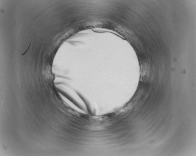 X0000077350623200611171859