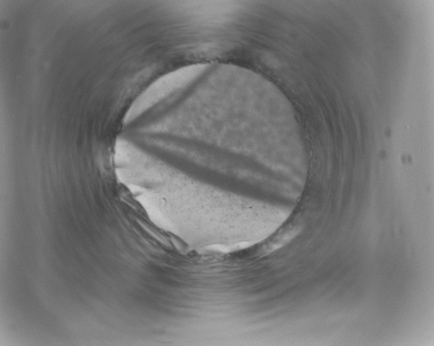 X0000077350624200611171859