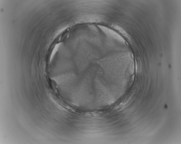 X0000077350627200611171859