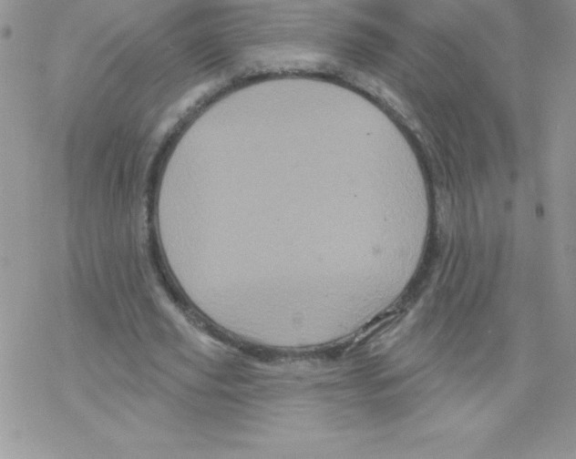 X0000077350629200611171859