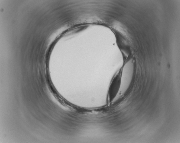 X0000077350630200611171859