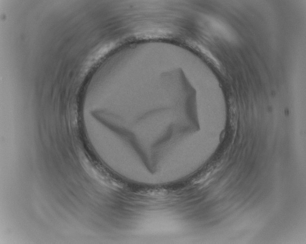 X0000077350631200611171859