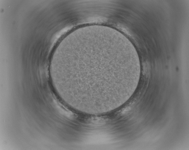 X0000077350632200611171859