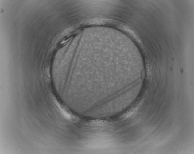 X0000077350633200611171859