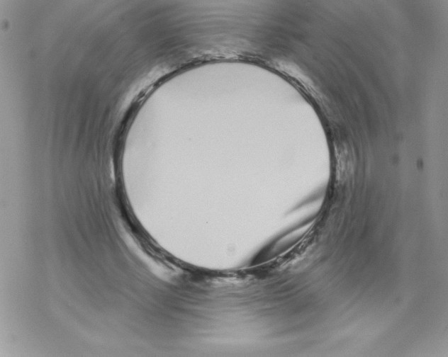 X0000077350634200611171859