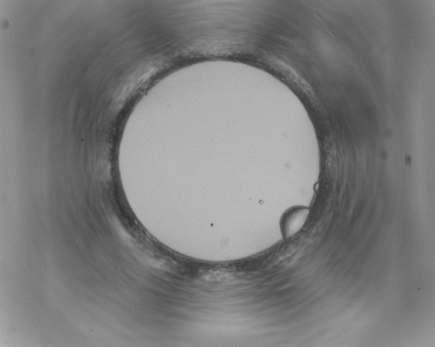 X0000077350635200611171859