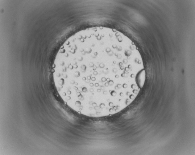 X0000077350637200611171859