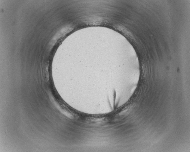 X0000077350638200611171859