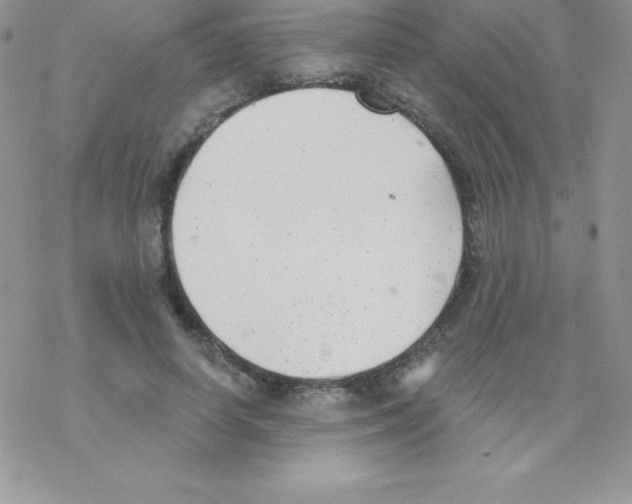 X0000077350642200611171859