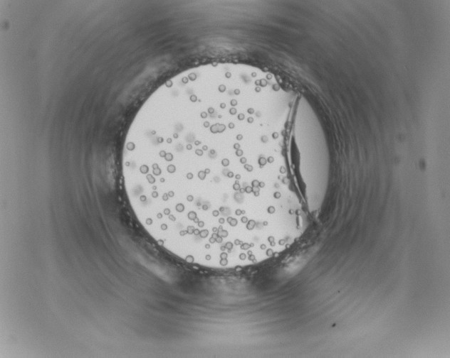 X0000077350644200611171859