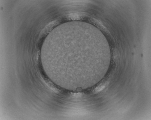 X0000077350645200611171859