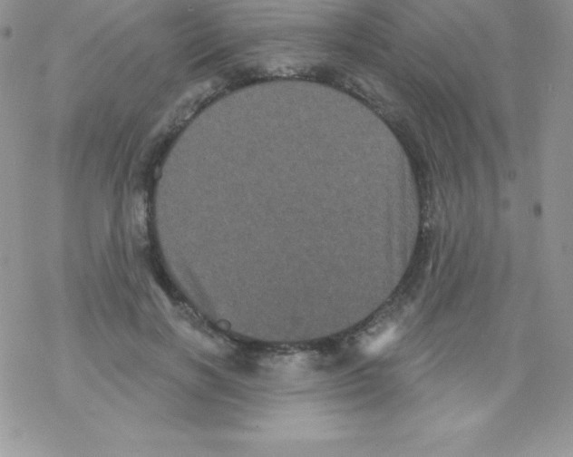 X0000077350646200611171859