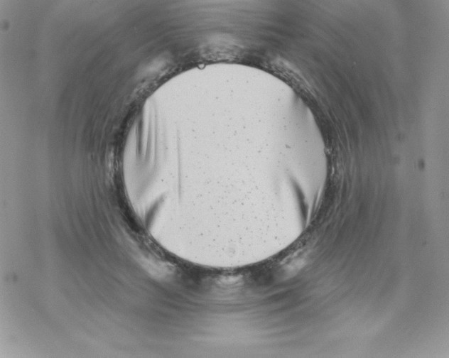 X0000077350647200611171859