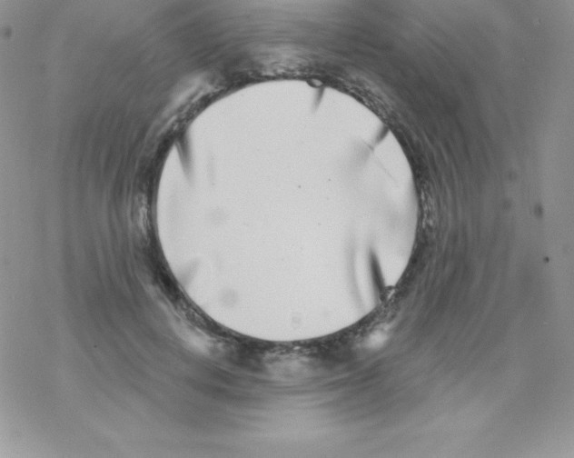 X0000077350648200611171859