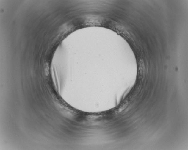 X0000077350649200611171859