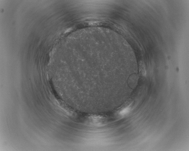 X0000077350650200611171859