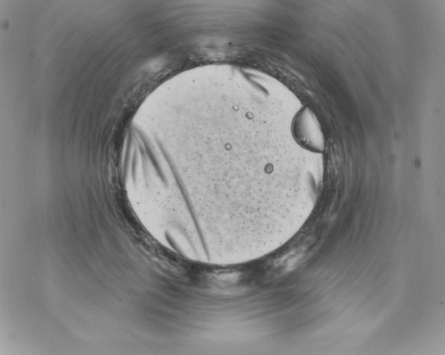 X0000077350651200611171859