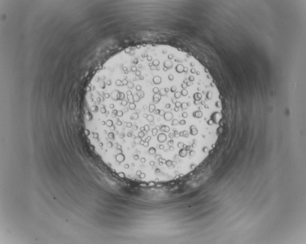 X0000077350653200611171859